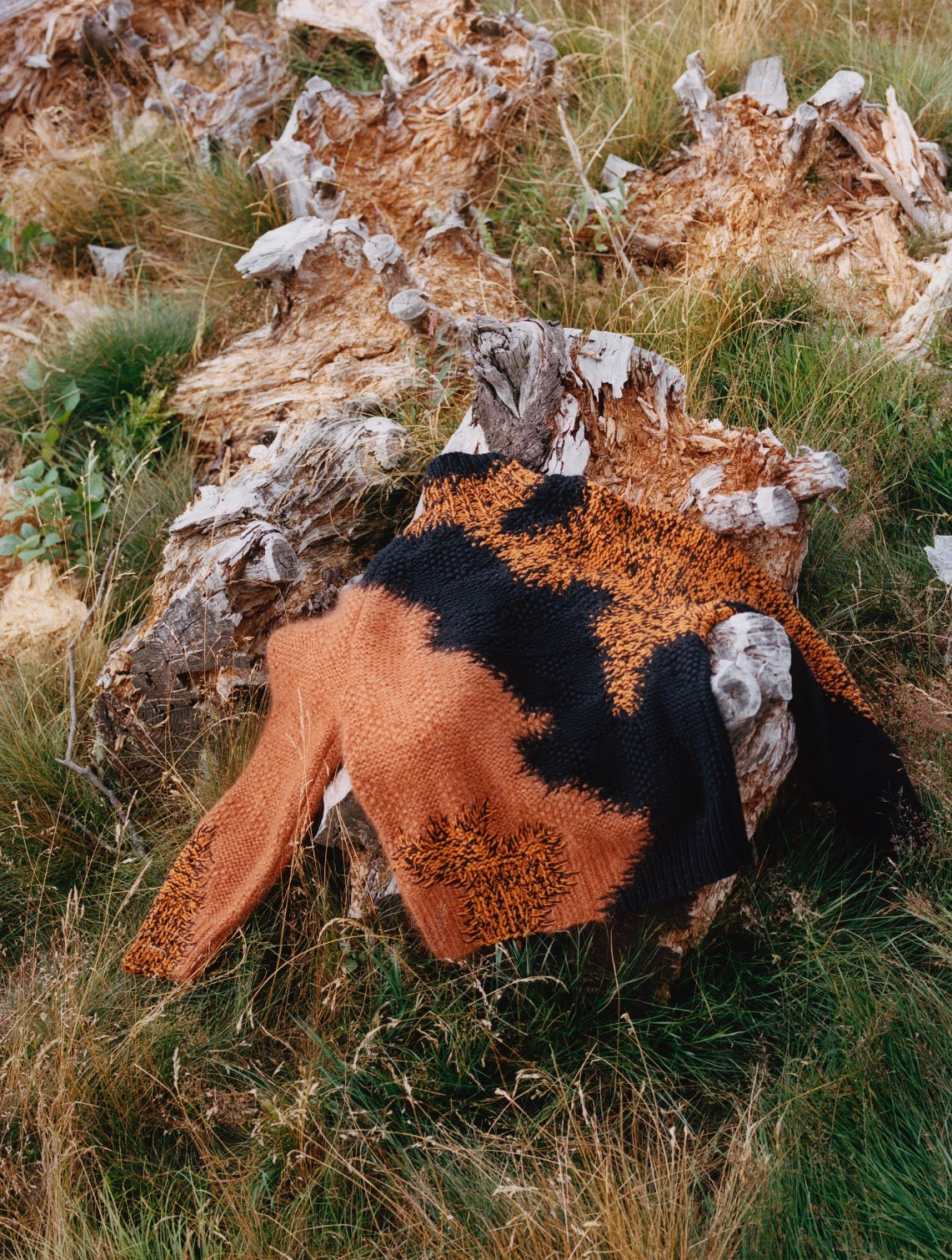 An orange and black patterned cashmere sweater laid over a weathered tree stump in long grass.