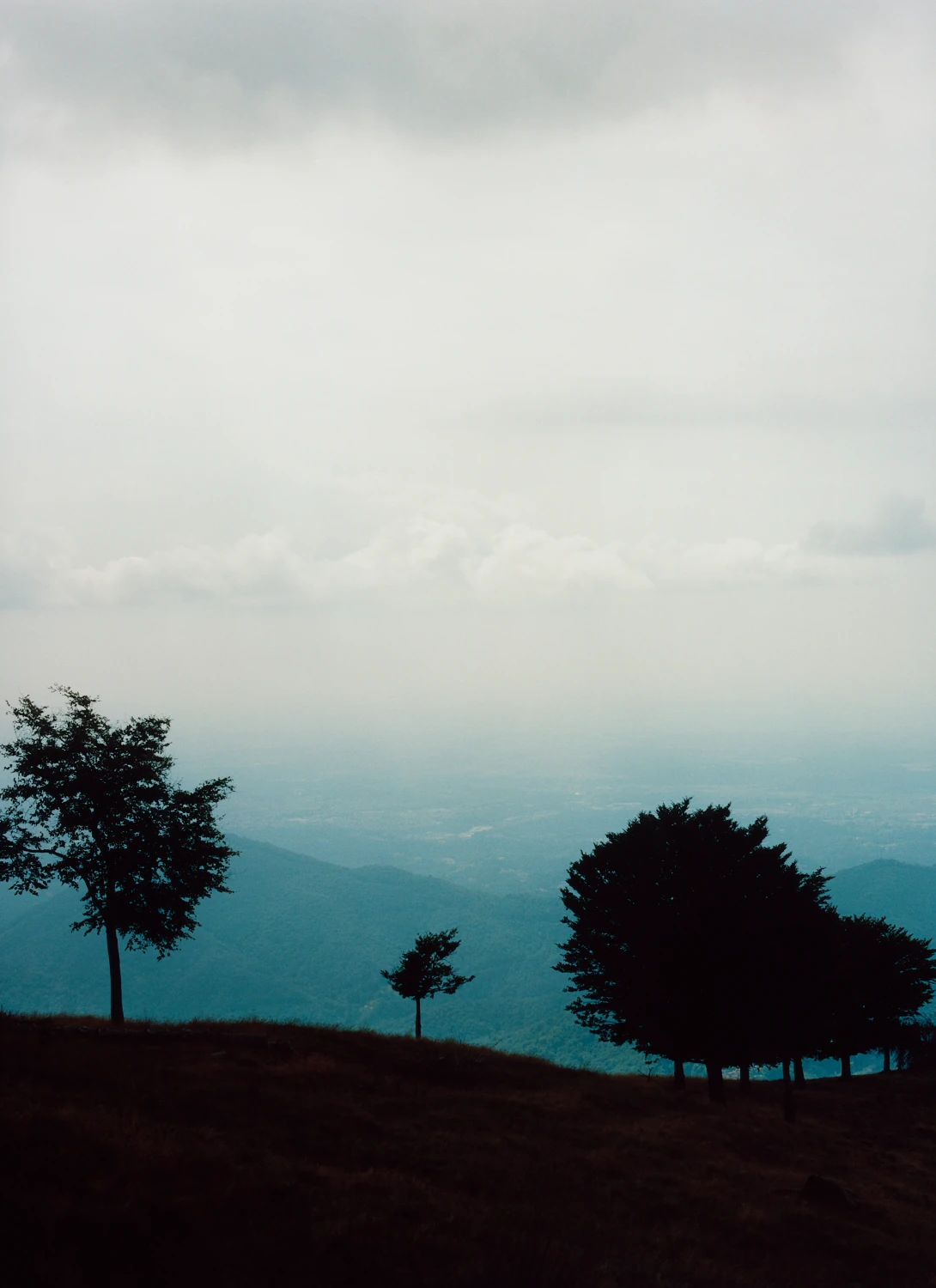 Two trees silhouetted on a ridge above layered blue hills fading into cloud.